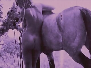 Dark Lantern Relaxation presents 'Beauty And The Beast'