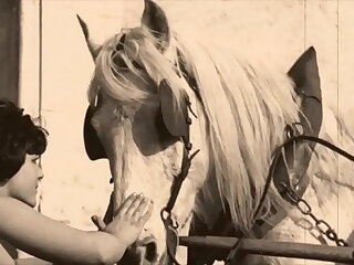 Dark Lantern Refreshment presents